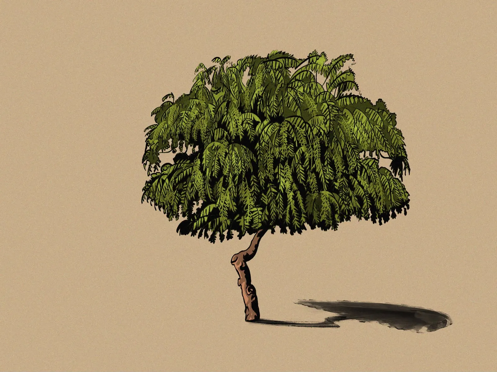 Illustrated neem tree