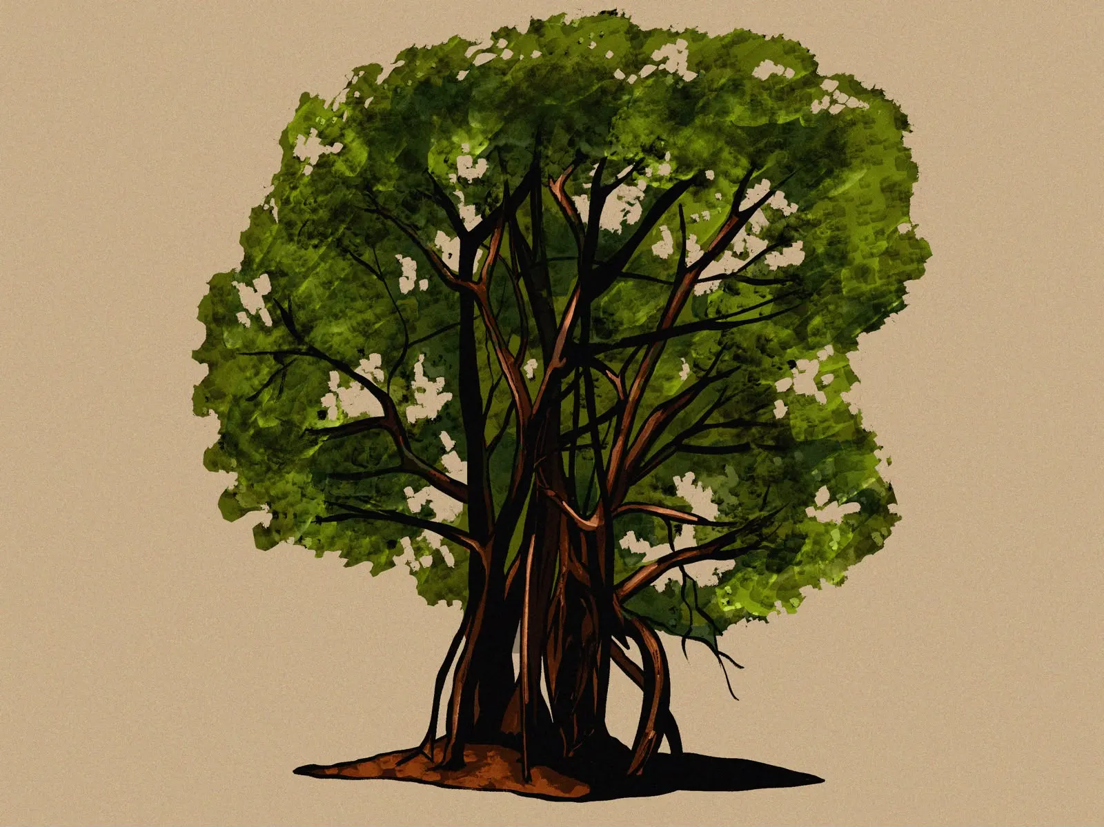 Illustrated strangler fig